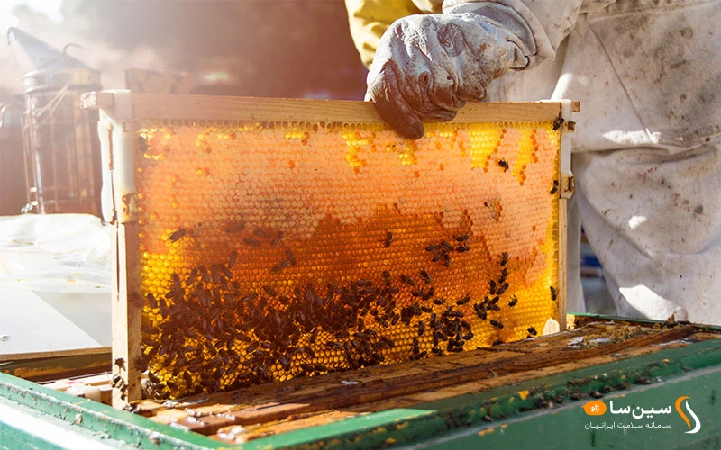 چه آنزیم هایی در عسل سرد وجود دارند؟
