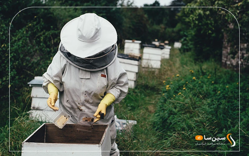 عسل گرماندیده چه تفاوتی با عسل های تجاری دارد؟